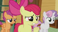 Apple Bloom "are you sure about that?" S5E18