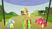 Applejack points at her right S3E08