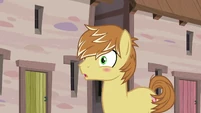 Feather Bangs blushing S7E8.png (754 KB)