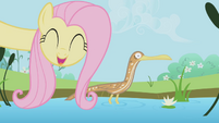 Fluttershy singing to a duck S1E3