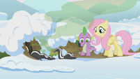 Skunks! Why, Celestia, whyyyyyy?!