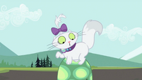 Opalescence notices toy mouse gone S2E07