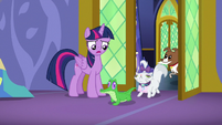 Pets entering Twilight Sparkle's castle S6E22