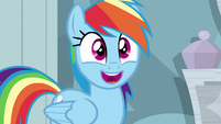 Rainbow Dash --she never goes to conventions!-- S6E13