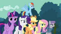 Rainbow Dash and friends confused S4E18