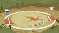 Rainbow Dash flying around Quibble S9E6