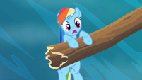 Rainbow Dash speechless S2E8