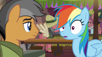 Rainbow sees something behind Quibble S6E13