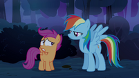 Scootaloo looks at Rainbow S3E06