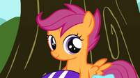 Scootaloo smiling S01E18