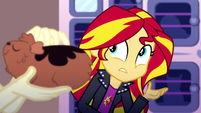 Sunset Shimmer wants something less furry SS7