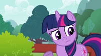 Twilight pondering.