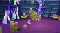 Twilight and Spike in the empty library S9E26
