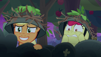 AJ more excited; Apple Bloom terrified S9E10