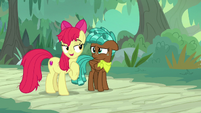 Apple Bloom "such great advice givers" S9E22