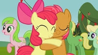 Apple Bloom and Babs reunite S03E08