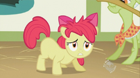 Apple Bloom has a messy mane S2E12