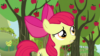 Apple Bloom pregunta ''Twittermitas'' Un Descanso Agotador