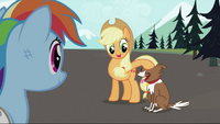 Applejack petting Winona S2E07