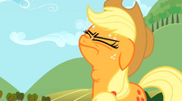 Applejack worried swallow S02E15