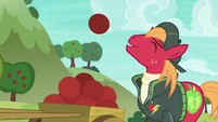 Big McIntosh tossing a ball to Granny Smith S6E18.png (861 KB)