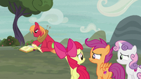 Cutie Mark Crusaders feel sorry for Big Mac S7E8