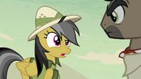 Daring Do -free to steal whatever you wanted- S7E18