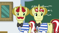 Flim and Flam smiling at Star Swirl S8E16
