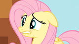 Fluttershy Nervous S3E13