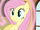 Fluttershy who I am S3E13.png