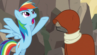 Rainbow Dash "would have been swallowed up!" S7E18