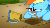 Rainbow Dash desperate S2E15