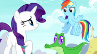 Rarity and Rainbow Dash confused S8E18