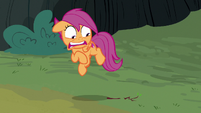 Scootaloo scared of the twig S7E16