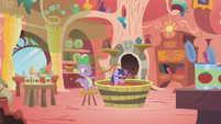 Spike gives Twilight a tomato juice bath.