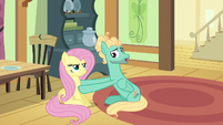 Zephyr sets Fluttershy down on the floor S6E11