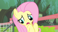 Fluttershy 'Well, you see, I' S4E14