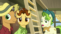 Pistachio looks shocked at Rarity MLPBGE