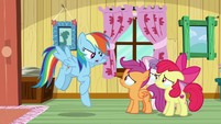 Rainbow Dash "Scootaloo belongs here!" S9E12