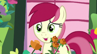 Rose "could it be plum blossom?" S9E11