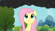 S01E07 Fluttershy patrzy na chmury