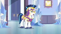 Shining Armor "I don't think it's funny" S6E16