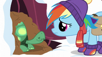 Yes, Dashie!