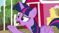 Twilight Sparkle "can't you get rid of them?" S7E14