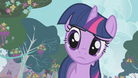 Twilight asking about the banner S1E10