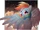 Secret of the Pegasi