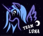 Princess Luna team fan art by spiritofthwwolf.