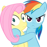 Rainbow Dash and Fluttershy.