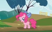 Young Pinkie wearing a bow