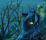 170649 - artist quiss Chrysalis